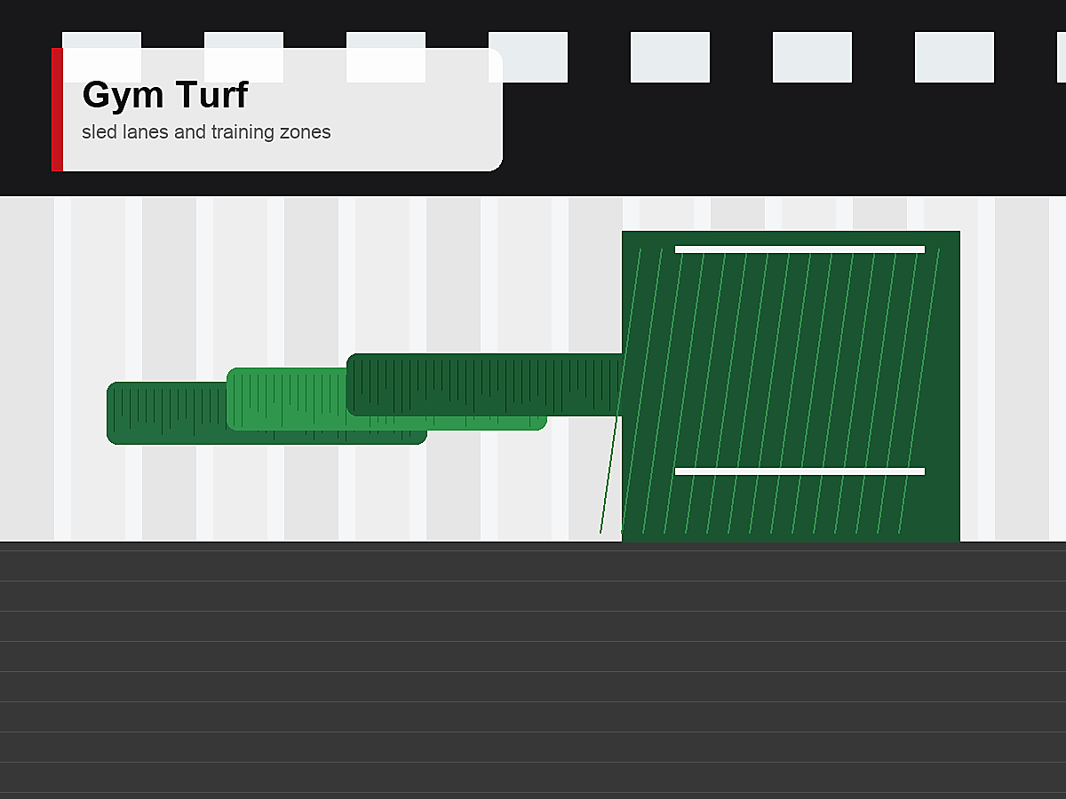 Gym Turf product for applications
